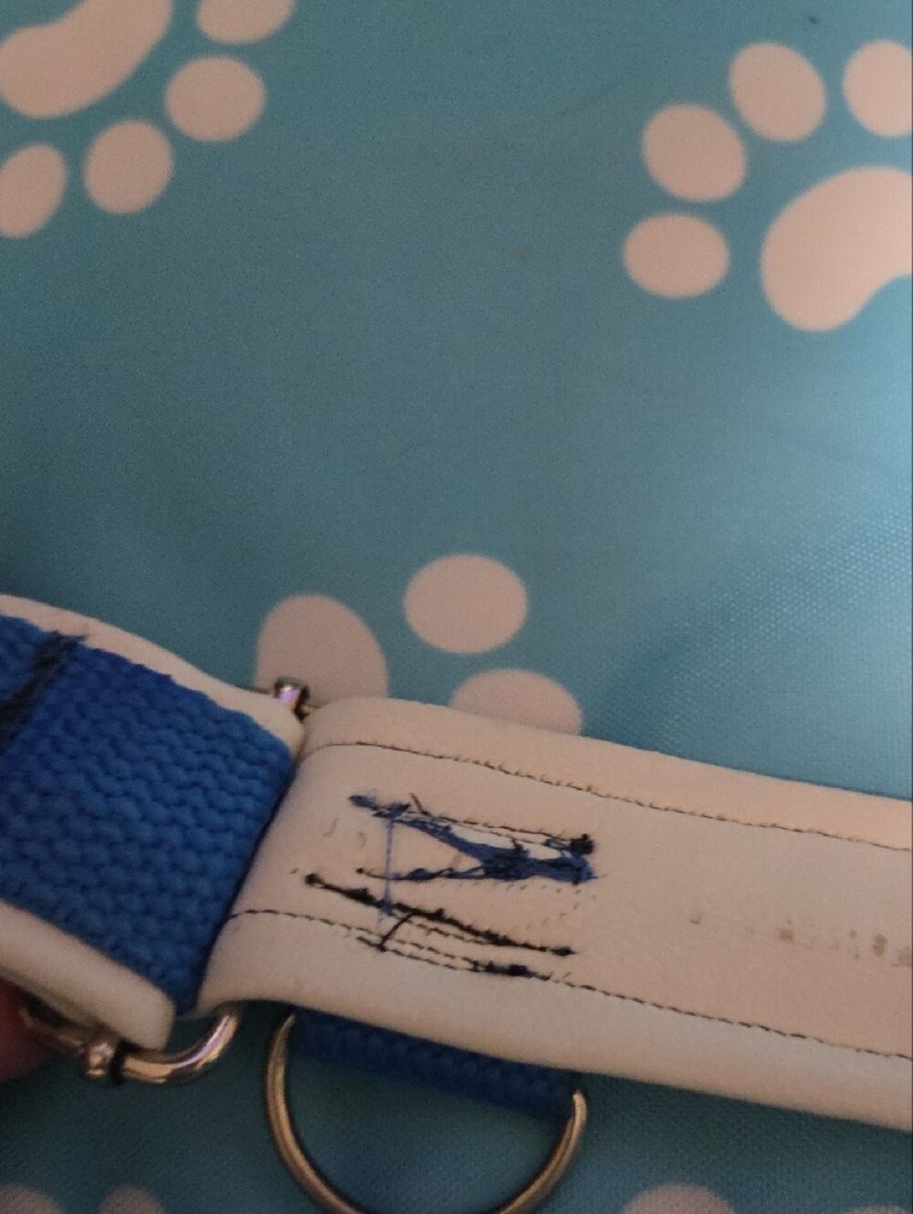 2 Service Dog In Training Collars - Picture 3 of 6